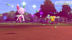 ���������꡼ No.005�Υ���ͥ������ / �ǲ�ַ���ǥݥ��åȥ�󥹥��� �����פ������������������ŵ�֥�����ο��Υ���ӥ��ס֥�����ο��Υ��롼�ɡפκǿ��������