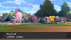 ���������꡼ No.011�Υ���ͥ������ / �ǲ�ַ���ǥݥ��åȥ�󥹥��� �����פ������������������ŵ�֥�����ο��Υ���ӥ��ס֥�����ο��Υ��롼�ɡפκǿ��������