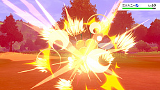 ���������꡼ No.014�Υ���ͥ������ / �ǲ�ַ���ǥݥ��åȥ�󥹥��� �����פ������������������ŵ�֥�����ο��Υ���ӥ��ס֥�����ο��Υ��롼�ɡפκǿ��������