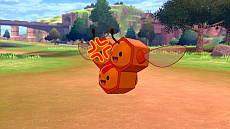 ���������꡼ No.018�Υ���ͥ������ / �ǲ�ַ���ǥݥ��åȥ�󥹥��� �����פ������������������ŵ�֥�����ο��Υ���ӥ��ס֥�����ο��Υ��롼�ɡפκǿ��������