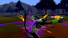 ���������꡼ No.019�Υ���ͥ������ / �ǲ�ַ���ǥݥ��åȥ�󥹥��� �����פ������������������ŵ�֥�����ο��Υ���ӥ��ס֥�����ο��Υ��롼�ɡפκǿ��������