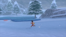 ꡼ No.046 | ֥ݥåȥ󥹥 ɡɡץѥ󥷥ѥ1ơֳθפ617ۿץ⡼θ