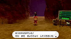 ꡼ No.031 | ֥ݥåȥ󥹥 ɡɡץѥ󥷥ѥ2ơ㸶1023ۿ