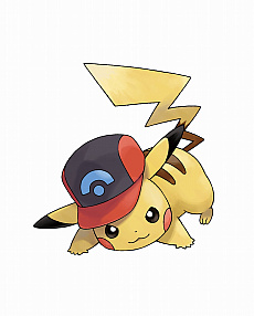 ꡼ No.072 | ֥ݥåȥ󥹥 ɡɡץѥ󥷥ѥ2ơ㸶1023ۿ