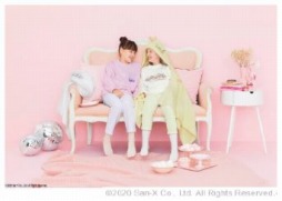 ꡼ No.002 | ֥ݥפ֤ߤå餷פȥ˥ܤå饦󥸥о졣ȸΥݥ󥲥åȥ󥸡ɥڡ»