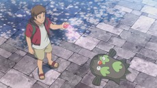 画像ギャラリー No.020のサムネイル画像 / 「ポケモン ソード・シールド」で幻のポケモン“ザルード”が活躍する特別なマックスレイドバトルが2月4日9:00より開催