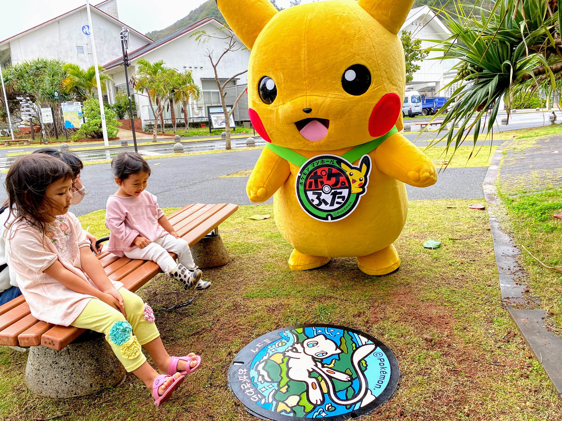 画像集no 002 ポケモン 誕生から本日で25年 新たな ポケふた 4 画像集no 002 ポケモン 誕生から本日で25年 新たな ポケふた 4