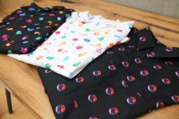 ���������꡼ No.006�Υ���ͥ������ / �θ������Ÿ��POKÉMON COLORS�פΥ��ꥸ�ʥ뾦�ʤ�����