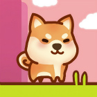 �ѥå�����