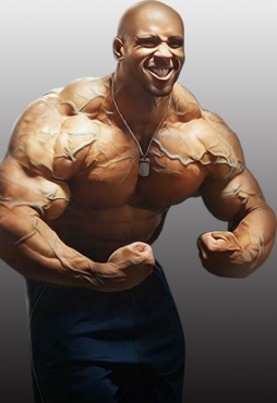 ꡼ No.012 | ƻơޤˤSLGŷ̵-ζƻ-פ3ܤۿϿ