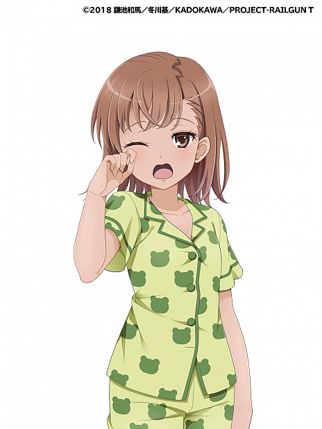 ���������꡼ No.008�Υ���ͥ������ / �֥ӥӥåɥ����ߡ��ס� TV���˥�֤Ȥ���ʳؤ�Ķ�ż�ˤT�פȤΥ���ܤ��������ϡ���ͥ�ؤΥ����󿧻椬�����륭���ڡ����