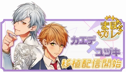 ꡼ No.003Υͥ / Triangle/crossסޤۥ֥ǡߥť롼ȡפۿ