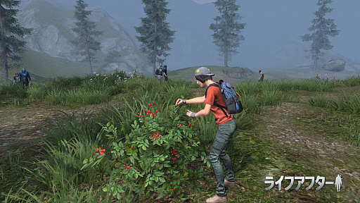 ꡼ No.002 | ֥饤եեסϿԿ30ˤǰ60Amazonեȷץ쥼ȴ»