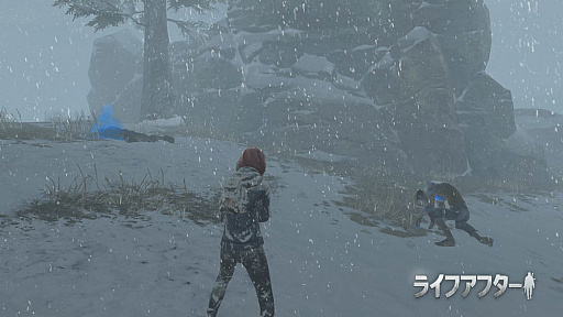 ꡼ No.003 | ֥饤եեסϿԿ30ˤǰ60Amazonեȷץ쥼ȴ»