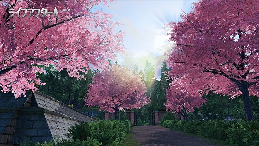 ꡼ No.005 | Ƚǻ٤礦ɥ󥻥ץȤμ¸ܻؤ1ǯ򿶤֤롣ХХ륲֥饤եե׳ȯԥ󥿥ӥ塼