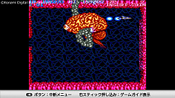 ꡼ No.010 | ȥС Order 13KONAMI֥ɥ饷å ˥С꡼쥯פǡ1.9.8.0ǯ奬ޥ르ȡåƥ!!