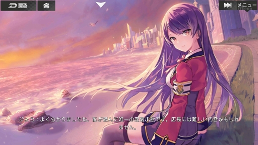 ���������꡼ No.004�Υ���ͥ������ / �����Ѥȥ���饯�����ؤΰ������������ޥ۸������������ӥ塼STG�֥����롦���ե����������ԥץ쥤��ݡ���