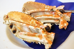 画像ギャラリー No.017のサムネイル画像 / これには歴戦の店長も納得。落ち着いた雰囲気の中で“ザリガニ(下目)”も食べられる「ガール・カフェ・ガン」コラボカフェをレポート