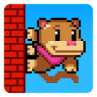 �ѥå�����