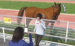 ���������꡼ No.002�Υ���ͥ������ / ��StarHorse4�פ�̡��֤����褦�Υޥ��Х����פΥ���ܥ��٥�Ȥ���������3��23���ޤǳ���