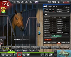 ꡼ No.006 | StarHorse4ס֥̼פȤΥ1Ƥ򳫺