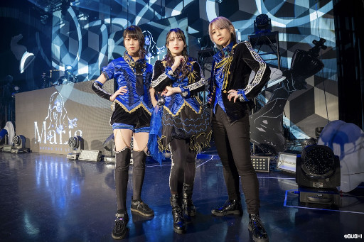 ���������꡼ No.004�Υ���ͥ������ / ��D4DJ�ס�������� 3rd LIVE -Maria-�ɤγ��ť�ݡ��Ȥ����