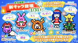 ꡼ No.001 | ֤ȤסåץǡۿʪΥ