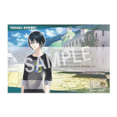 ꡼ No.008 | ֥å̡סȥ꡼å in HMV ̺βƺפɤ723鳫Ť