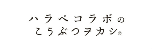 ꡼ No.007 | ֥å̡סĥ2ǯǰӥ奢ڥ֤ۿ䥳ܳŤʤ5˥塼ȯɽ