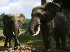 ［E3 2019］動物園を運営するシミュレーションゲーム「Planet Zoo」の発売日が11月5日に決定。最新PVも公開
