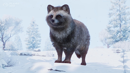 ���������꡼ No.002�Υ���ͥ������ / ưʪ��бĥ���֥ץ�ͥå� �����ס��ۥ�ɥ��̥���顼�ƥ�ʤɥ���������©����7�����ưʪ��ä����Asia Animal Pack�פ��ۿ�����