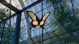 ���������꡼ No.005�Υ���ͥ������ / ưʪ��бĥ���֥ץ�ͥå� �����ס��ۥ�ɥ��̥���顼�ƥ�ʤɥ���������©����7�����ưʪ��ä����Asia Animal Pack�פ��ۿ�����