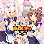 ꡼ No.003Υͥ / ֥ͥѤץ꡼ʤɡCFKSwitchDLեȤ89󥪥դˤʤ륻뤬