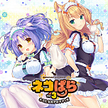 ꡼ No.004Υͥ / ֥ͥѤץ꡼ʤɡCFKSwitchDLեȤ89󥪥դˤʤ륻뤬