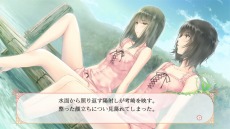 ���������꡼ No.035�Υ���ͥ������ / ���꡼��3������Ͽ�����֥��ꥶ�����β̼¡��µܡ��ڱ� �ե�ѥå������פ�Nintendo Switch�������о졣2019ǯ����ȯ��