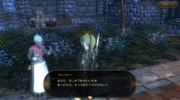 ꡼ No.001 | ⤫⤬ե󥿥ͳ˶롣ӥοMMORPG֥ץ ʥCBTץ쥤ݡ