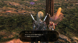 ꡼ No.019 | ⤫⤬ե󥿥ͳ˶롣ӥοMMORPG֥ץ ʥCBTץ쥤ݡ