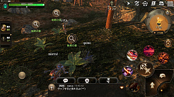 ꡼ No.022 | ⤫⤬ե󥿥ͳ˶롣ӥοMMORPG֥ץ ʥCBTץ쥤ݡ