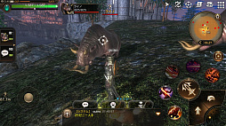 ꡼ No.031 | ⤫⤬ե󥿥ͳ˶롣ӥοMMORPG֥ץ ʥCBTץ쥤ݡ