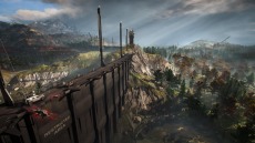 ꡼ No.005 | ꡼ǿ֥ȥꥳ ֥쥤ݥȡפȯ䡣饤֥ȥ쥤顼ֿΥȤؤƻפ