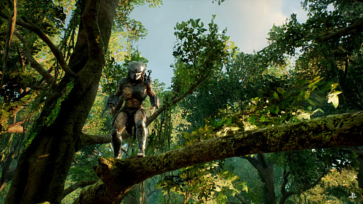 ꡼ No.002Υͥ / gamescomϡPredator: Hunting GroundsפΥץ쥤ȥ쥤顼üȥץǥˤоη沈