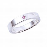 ꡼ No.008 | BASARAץ꡼15ǯܥ奨꡼μ