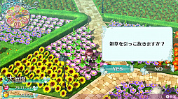 ꡼ No.043 | ֥ᥬӥ 饤աס饯俷ƥΡֲϣסˡֽҲפʤɤο餫