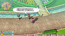 ꡼ No.052 | ֥ᥬӥ 饤աס饯俷ƥΡֲϣסˡֽҲפʤɤο餫