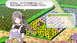 画像ギャラリー No.024のサムネイル画像 / おっぱいだけがすべてじゃない。本格派のローグライクが楽しめる「ラビリンス ライフ」プレイレポート