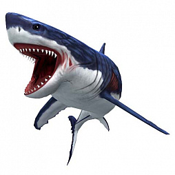 ꡼ No.039Υͥ / ꥹԥå Nintendo SwitchСסץ쥤ڤ֤ܤ⡼ɡפξܺ٤餫