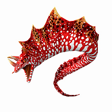 ꡼ No.035 | ꥹԥå Nintendo SwitchСפ̵åץǡȤ721˼»ܡ߷׽вܿ50ˤǰ