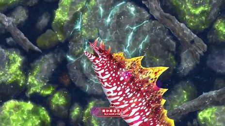 ꡼ No.038 | ꥹԥå Nintendo SwitchСפ̵åץǡȤ721˼»ܡ߷׽вܿ50ˤǰ