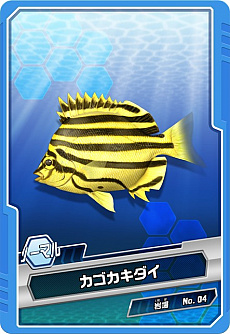 ꡼ No.042 | ꥹԥå Nintendo SwitchСפ̵åץǡȤ721˼»ܡ߷׽вܿ50ˤǰ