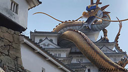 画像ギャラリー No.005のサムネイル画像 / 「ドラゴンクエストウォーク」を一足先に楽しめるβ版体験会が関東圏で6月11日より開催決定。参加申込みを受け付け中